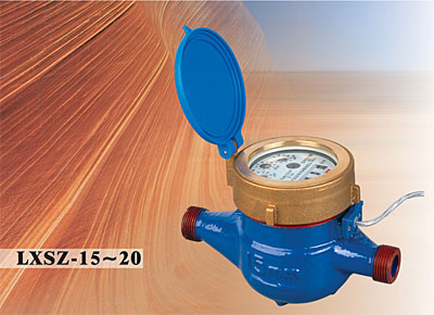 LXSZ直读式电子远传液封水表